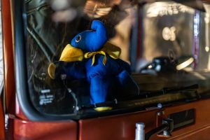 Vorne neben dem Fahrer!